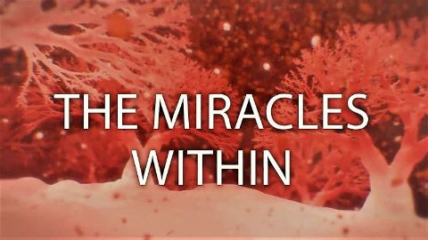 The Miracles Within