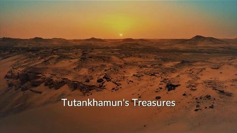 Tutankhamun's Treasures