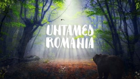 Untamed Romania