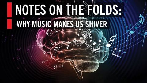 How Music Affects Your Brain Notes on the Folds