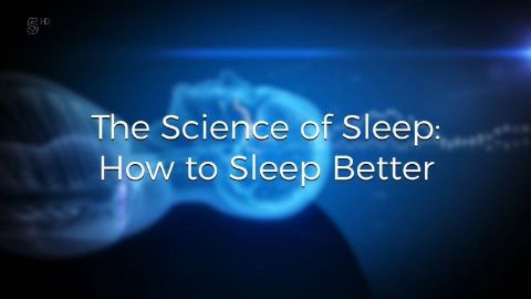 The Science of Sleep: How To Sleep Better