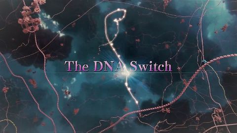 The DNA Switch