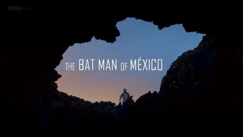 The Bat Man of Mexico