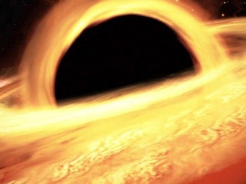 How the Black Holes Made Us