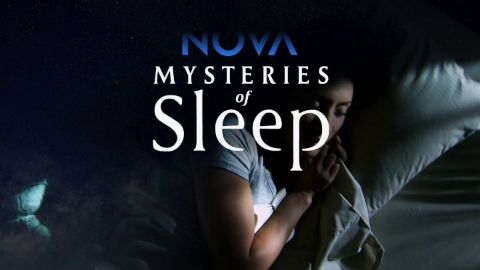 Mysteries of Sleep