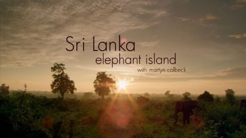 Sri Lanka: Elephant Island