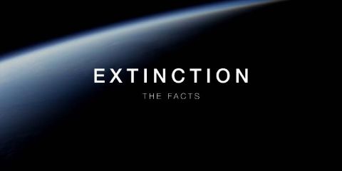 Extinction: The Facts