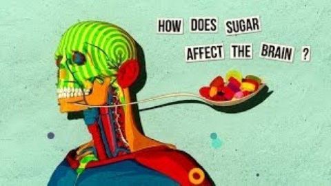 How sugar affects the brain