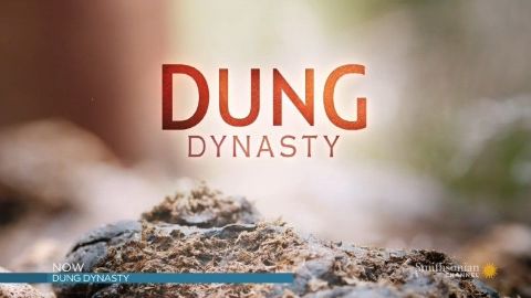 Dung Dynasty