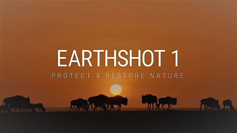 Protect and Restore Nature