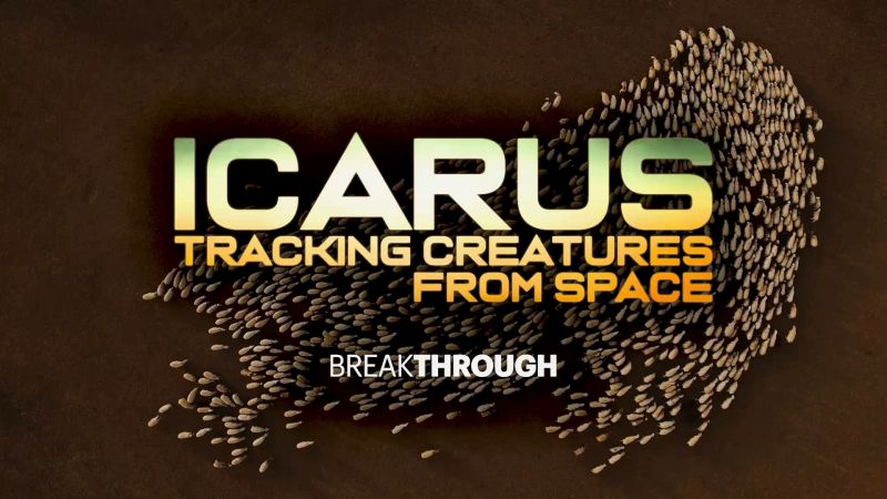 ICARUS Tracking Creatures