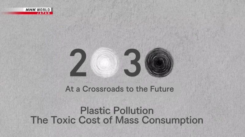 Plastic Pollution: The Toxic Cost of Mass Consumption