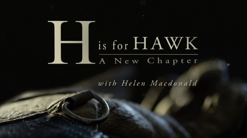 H is for HAWK