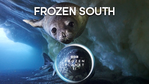 Frozen South