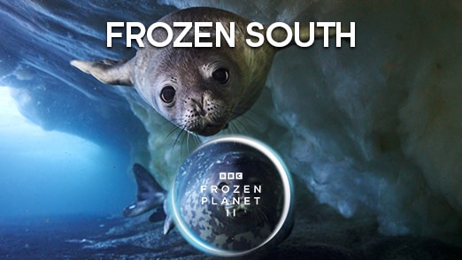 Dive into all five Frozen Planet II worlds