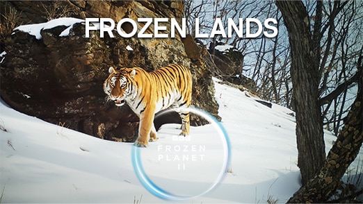 Frozen Lands