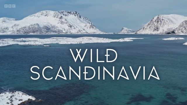 Wild Scandinavia