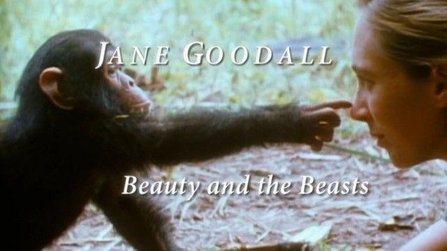 Jane Goodall: Beauty and the Beasts