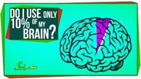 Do I Only Use 10% of My Brain?