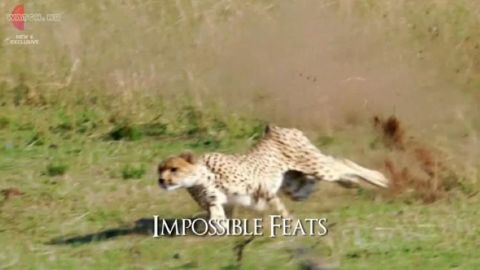 Impossible Feats