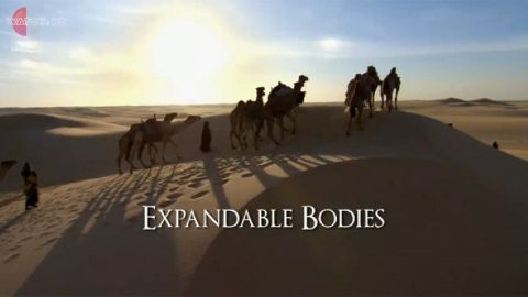 Expandable Bodies