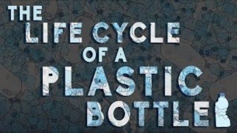 What really happens to the plastic you throw away