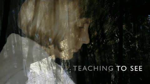 Teaching to See