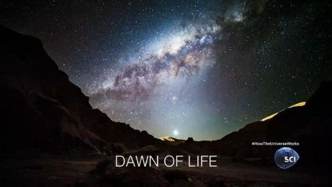 Dawn of Life