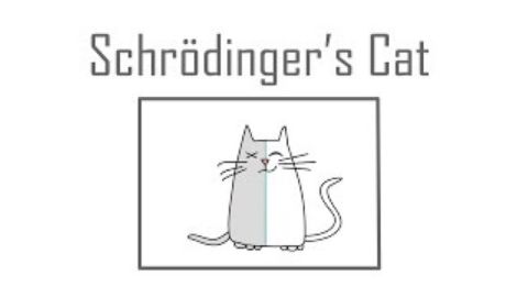 Schrödinger's cat: A thought experiment in quantum mechanics