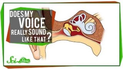 Does My Voice Really Sound Like That?
