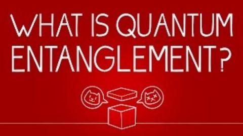 What can Schrödinger's cat teach us about quantum mechanics?