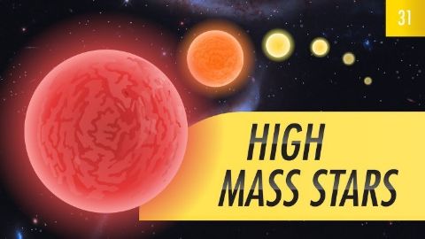 High Mass Stars