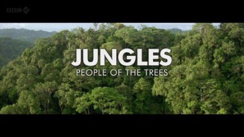 Jungles - People of the Trees