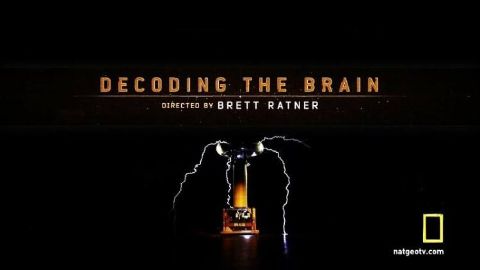 Decoding the Brain