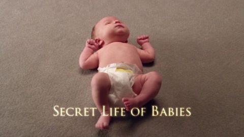 Secret Life of Babies