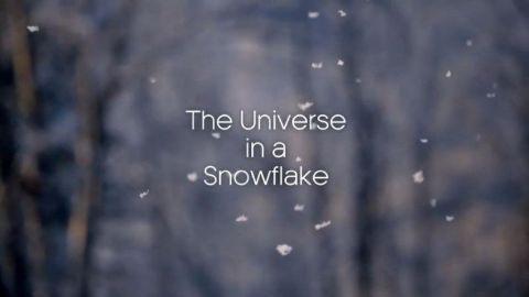 The Universe in a Snowflake