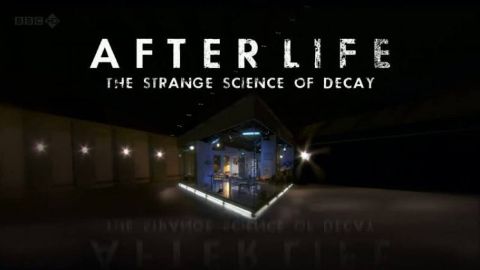 After Life: The Strange Science of Decay