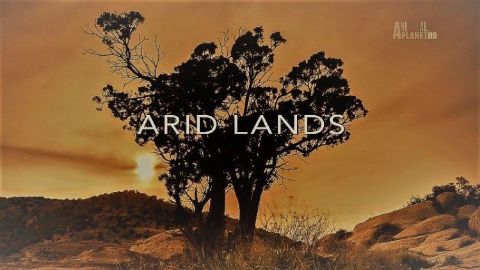 Arid Lands