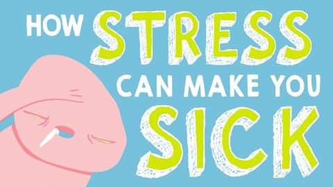 How stress affects your body