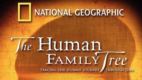 The Human Family Tree