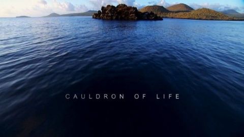 Cauldron of Life