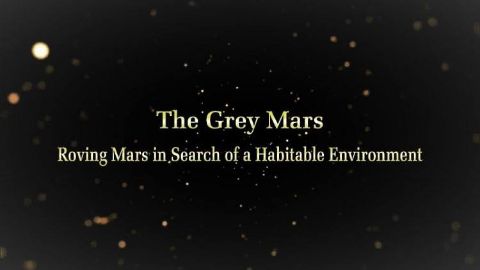 The Grey Mars