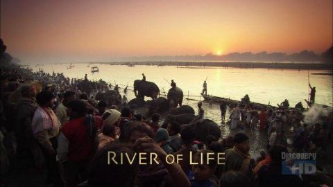 River of Life