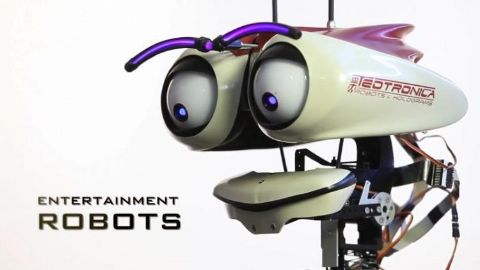 Entertainment Robots