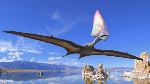 Flying Monsters with David Attenborough