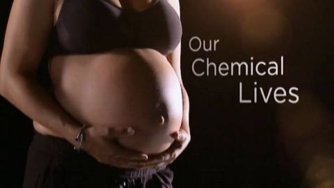 Our Chemical Lives