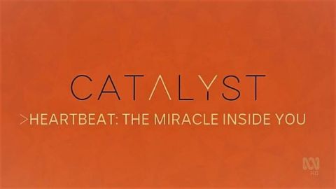 Heartbeat the Miracle Inside You