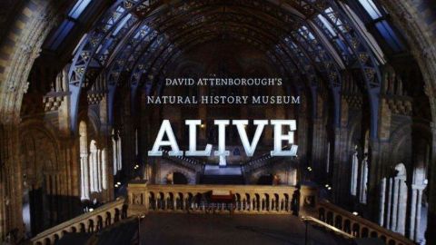 David Attenborough’s Natural History Museum Alive