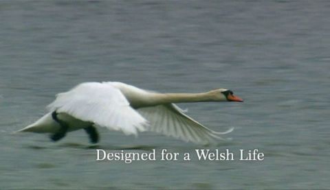 Designed for a Welsh Life