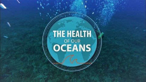 The Health of Our Oceans